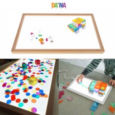 다나플레이라이트이젤