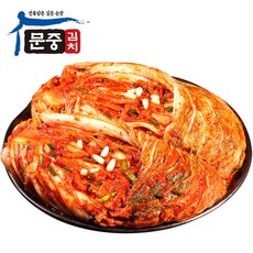 문중김치 배추김치 10kg 1개_, 상세페이지 참조