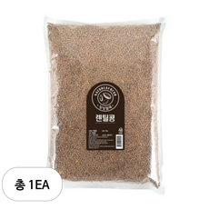 월드그린 싱싱 렌틸콩, 3kg, 1개