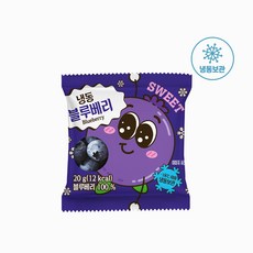 [자연원] 냉동 블루베리 140g(20g x 7개입), 1개, 140g