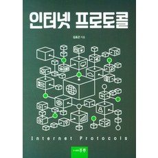 인터넷 프로토콜, 홍릉