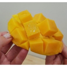제주왕망고
