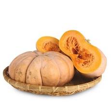 eTV 24년수확 국내산 늙은호박 4kg, 1개