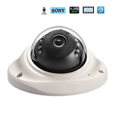 Hamrolte IP 카메라 H.265 SONY IMX323 UltraLow Illumination1080P 파손 방지 돔 카메라 오디오 기록 모션 감지 ONVIF|감시 카메라, 1개, DC12V Version, 2.8mm