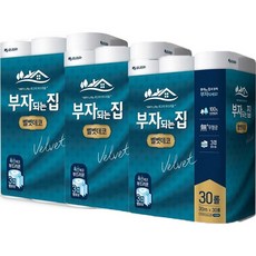 인비오코리아인비오iv-30m