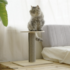  가또블랑코 피타 고양이 스크래쳐 폴 2단, 혼합색상, 1개 