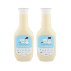 동서 리치스 연유 500g 2개세트, 2개