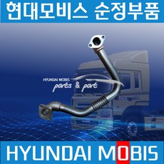 트라고 EGR 파이프 대 현대모비스순정 2842084802, 1개