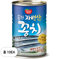 동원 구경상사 꽁치, 10개, 400g