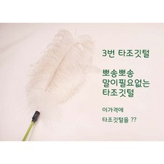 지구별고양이장난감_3번 타조깃털