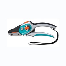 가데나장미가위