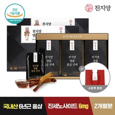 [천지양] 명품홍삼진액 30포 x 2박스 쇼핑백증정, 천지양 명품홍삼진액 2박스, 2개