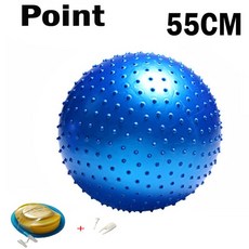  짐볼 요가 공 필라테스 피트니스 체육관 균형 Fitball 운동 공 45/55/65/75/85CM 펌프 포함, 55CM 블루 