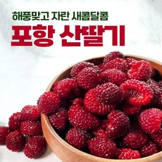 산딸기제철