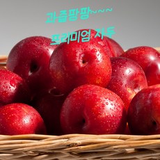 고당도 경북 김천 햇자두(노지) 5kg 랜덤과 10000418