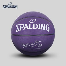 NBA 스팔딩 농구공 코비 브라이언트 맘바 보급형 뱀가죽패턴 7호 84-132Y