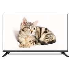 살루스 SAL320HD, 81cm 32 TV