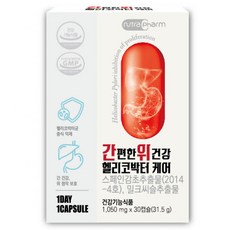 헬리코박터