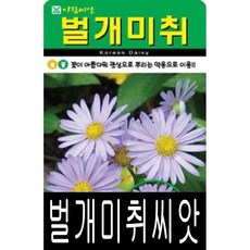 벌개미취