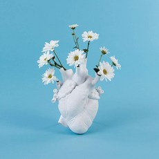 셀레티화병