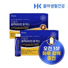  콜마생활건강 위슬로 활력 비타민 B 맥스 고함량 액상 흡수 빠른 활력비타민, 350ml, 2개 