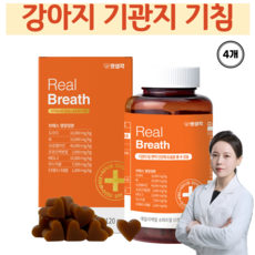 강아지 기관지 호흡기 기침 영양제 면역력 강화 강아지 거위소리 켁켁거림 편안한 호흡, 4개, 호흡기/기관지