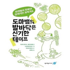 도마뱀의발바닥은신기한테이프