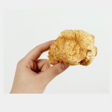 건노루궁뎅이버섯 100g- 노루궁뎅이슬라이드 (잘라진모양) 면세, 1개