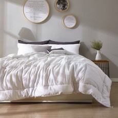 샤르르 세미마이크로 내추럴 이불솜 퀸 200x230, 화이트