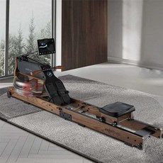 로잉머신 노젓기 스케일 운동기구 버티컬 전신 유산소