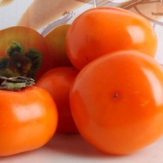 씨없는 감 청도 반시 홍시 제철과일, 5kg, 실속형(56~65과), 1개