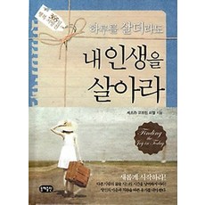 내인생의최고의선물류광수