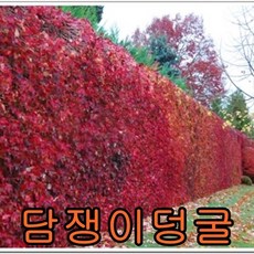 f55920873b35caf3cc813c199b8eda6a547199c0b25568192b7b3409bfe1.jpg