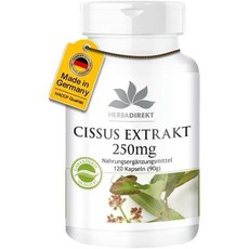 독일 Warnke Cissus 캡슐 250mg 120캡슐, 1개