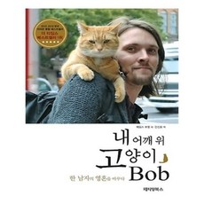 내어깨위고양이밥