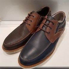 탠디보트