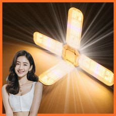 식물등 TOP01
