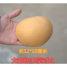 박바가지