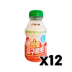 점보요구르트 대용량 야쿠르트 500ml x 12개 - 야쿠르트네고왕