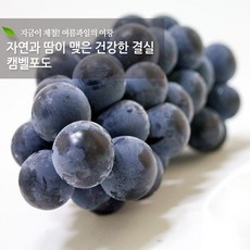 차선우