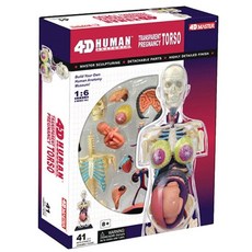 그림으로보는근골격