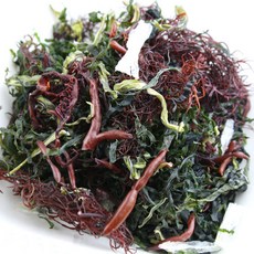 데일리해초모듬