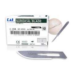 스킨플래닝블레이드