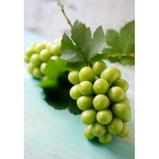 [마이달당] 달콤한 샤인머스켓 청포도 1kg(1~2수)/2kg(3~5수), 1개, 샤인머스켓 2kg(5수)