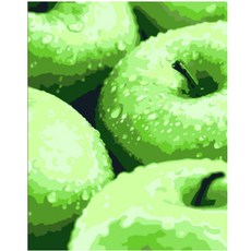 모모픽스 C12 청사과2 30x40cm DIY명화그리기 페인팅