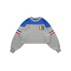 아이스비스킷셔츠