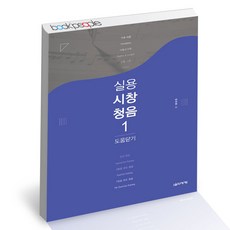 실용시창청음