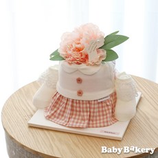 아기옷미니케이크
