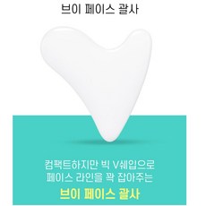 괄사필리밀리