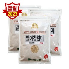 대한농산 23년 국산 발아찰현미 6kg(2kgx3) 안전박스포장, 2kg(1개), 3개